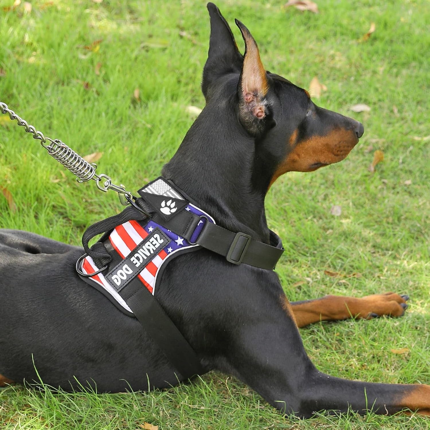 Service Dog Harness, Reflective Dog Vest Harness with 5 PCS Patches, Adjustable Soft Oxford Pet Harness, Inner Layer Mesh, Easy to Control for Dogs (USFLAG, Small (Pack of 1))
